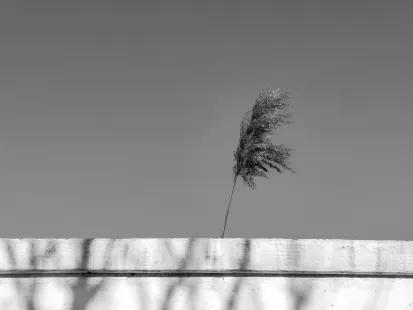 King Casino Mobile App